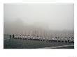 Altar Boys Cross St. Peter's Square On Epithany Morning, St. Peter's Square, Vatican City by James L. Stanfield Limited Edition Print