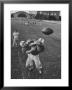 Players Don Mcclelland And Bobby Conrad During A Pre Season Practice Of Texas A And M Football Team by Joe Scherschel Limited Edition Print