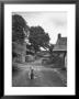 Collie Sheepdog Sitting In Road Leading Up Toward Castle Farm Owned By Beatrix Potter by George Rodger Limited Edition Print