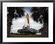 Palmetto Trees Frame Space Shuttle Endeavour As It Rolls Toward The Launch Pad by Stocktrek Images Limited Edition Print