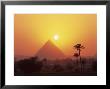 Pyramid Silhouetted At Sunset, Giza, Unesco World Heritage Site, Cairo, Egypt, North Africa by Groenendijk Peter Limited Edition Print