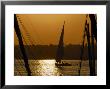 Feluccas On The River Nile, Aswan, Egypt, North Africa, Africa by Groenendijk Peter Limited Edition Print