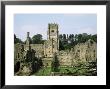 Fountains Abbey, Unesco World Heritage Site, Yorkshire, England, United Kingdom by Philip Craven Limited Edition Print
