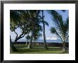 Beach With Cruise Ship Off Shore, Kailua-Kona, Island Of Hawaii (Big Island), Usa by Ethel Davies Limited Edition Print