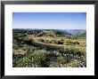 Landscape, Languedoc-Roussillon, France by David Hughes Limited Edition Print