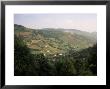 Moselotte Valley, Bas-Rupts Area, Near Gerardmer, Vosges Mountains, Lorraine, France by David Hughes Limited Edition Print