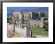 Exterior Of Mamure Castle, Anamur, Cilicia, Anatolia, Turkey by G Richardson Limited Edition Print