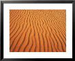 Patterns In Sand Dunes In Erg Chebbi Sand Sea, Sahara Desert, Near Merzouga, Morocco by Lee Frost Limited Edition Print