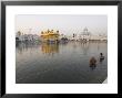 Two Sikh Pilgrims Bathing And Praying In The Early Morning In Holy Pool, Amritsar, India by Eitan Simanor Limited Edition Print