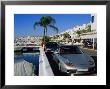 Puerto Banus Near Marbella, Costa Del Sol, Andalucia, Spain by Fraser Hall Limited Edition Print
