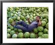 A Man Talks On His Phone Under The Shade Of His Watermelon Stall, Savannakhet, Laos, Indochina by Andrew Mcconnell Limited Edition Print