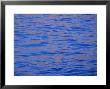 Ripples In Water Reflecting Light And Blue Sky, San Diego, California, U.S.A., North America by Ruth Tomlinson Limited Edition Print