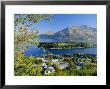 Queenstown, Lake Wakatipu, Otago, South Island, New Zealand, Australasia by Robert Francis Limited Edition Print