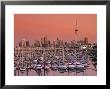Westhaven Marina, Auckland, New Zealand by Doug Pearson Limited Edition Print