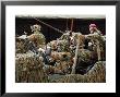 Recce Of The Belgian Army In Action by Stocktrek Images Limited Edition Print