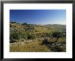 Shepherds Fields, Bethlehem, Israel by Jon Arnold Limited Edition Print