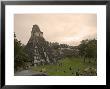 Tikal Pyramid Ruins, Guatemala by Michele Falzone Limited Edition Print
