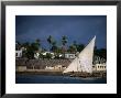 Traditional Dhow Sailing Past Town, Lamu, Coast, Kenya by Ariadne Van Zandbergen Limited Edition Print