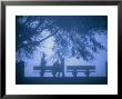 People Meet Along The Fog Shrouded Mississippi River Walk, New Orleans, Louisiana, Usa by Ray Laskowitz Limited Edition Print