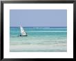 Dhow, Traditional Boat, Zanzibar Town, Zanzibar West, Tanzania by Ariadne Van Zandbergen Limited Edition Print