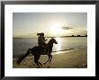 Two Girls Horseriding Along Beach At Yarra Bay, Botany Bay, Sydney, New South Wales, Australia by Oliver Strewe Limited Edition Print