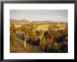 Aerial View Of Idyllic Farmland At Dawn Surrounded By Forest, Australia by Jason Edwards Limited Edition Print