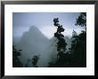 Peak Of Gunung Budda Through Early Morning Fog by Stephen Alvarez Limited Edition Print