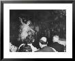 Semi Nude Bubble Dancer In Front Of An Audience Of Tailors And Their Wives by Peter Stackpole Limited Edition Print