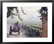 Workers On A Tractor At The Conchay Toro Vineyards, Chile by Bill Ray Limited Edition Print