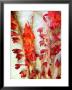 Red Delight, No. 1 by Alaya Gadeh Limited Edition Pricing Art Print