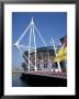 Millenium Stadium, Cardiff, Wales, United Kingdom by G Richardson Limited Edition Print