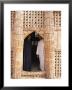 House Of Reeds, Warka, Iraq, Middle East by Nico Tondini Limited Edition Print