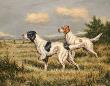 Bird Dogs by C.J. Frank Limited Edition Pricing Art Print