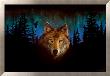Northern Light Wolf by Peter Kull Limited Edition Print