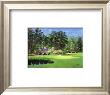 11Th At Augusta, White Dogwood by Bernard Willington Limited Edition Print