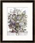 July by H. Fletcher Limited Edition Pricing Art Print