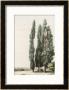 Cypress by Girard Limited Edition Pricing Art Print