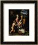 Madonna With A Fish, Around 1513 by Raphael Limited Edition Print