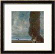 The Large Poplar Tree (Ii) Or Coming Storm by Gustav Klimt Limited Edition Pricing Art Print