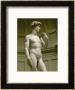 David, 3/4 Profile by Michelangelo Buonarroti Limited Edition Print