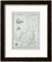 Part Of South Australia by John Rapkin Limited Edition Print