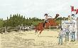 Des Chevaux Et Des Hommes : Le Rodeo by Vincent Haddelsey Limited Edition Pricing Art Print