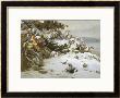 Winter Wonderland by Theud Gronland Limited Edition Print