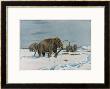 Mammoth Herd During The Ice Age by Wilhelm Kuhnert Limited Edition Print