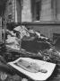 View Of A Poster Of Nazi Leader Adolf Hitler On The Rubble Of A Bombed Out Building by Margaret Bourke-White Limited Edition Print