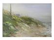 Morning Shore by Joe Terrone Limited Edition Print