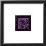 Violet Rose by Jane Nassano Limited Edition Pricing Art Print