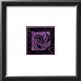 Violet Rose by Jane Nassano Limited Edition Print