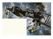 Unidentified Biplanes In Dogfight by Wilf Hardy Limited Edition Pricing Art Print