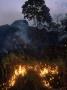 Bush Fires, Gabon, Central Africa by Patricio Robles Gil Limited Edition Print